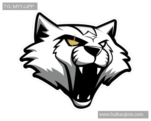 深度解析V5战队在CSGO中的团队协作与战术配合之道 深度解析V5战队在CSGO中的团队协作与战术配合之道